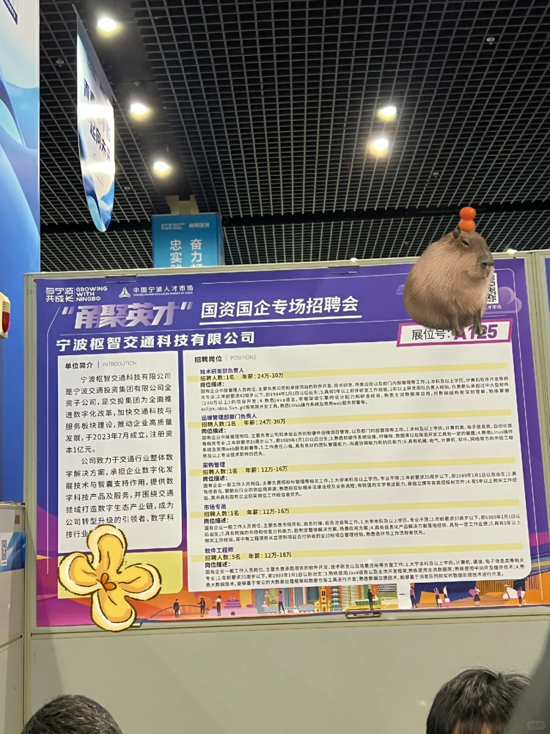??|宁波人才市场新春招聘会