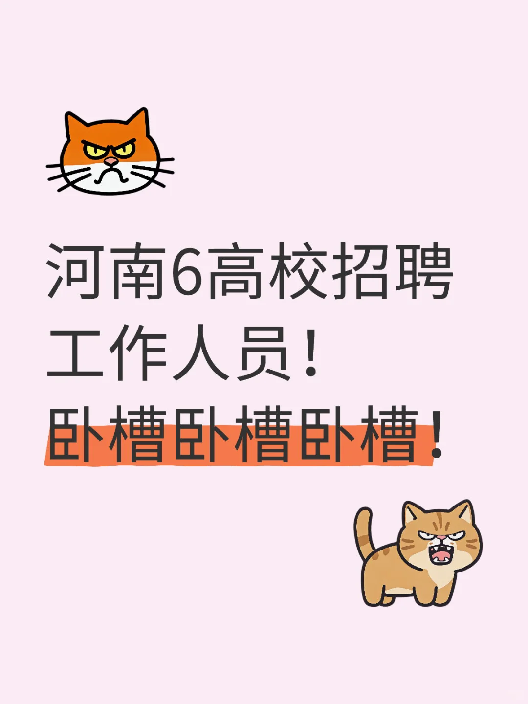 卧槽卧槽!河南6高校引进工作人员!