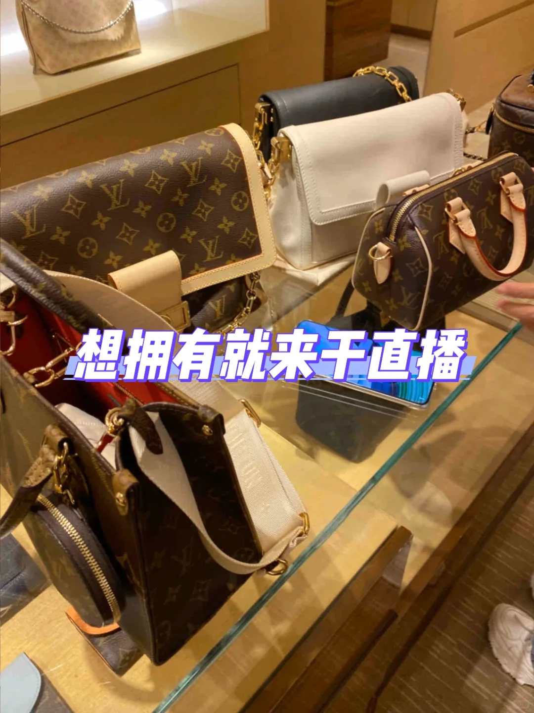 主包主包 我们需要你?