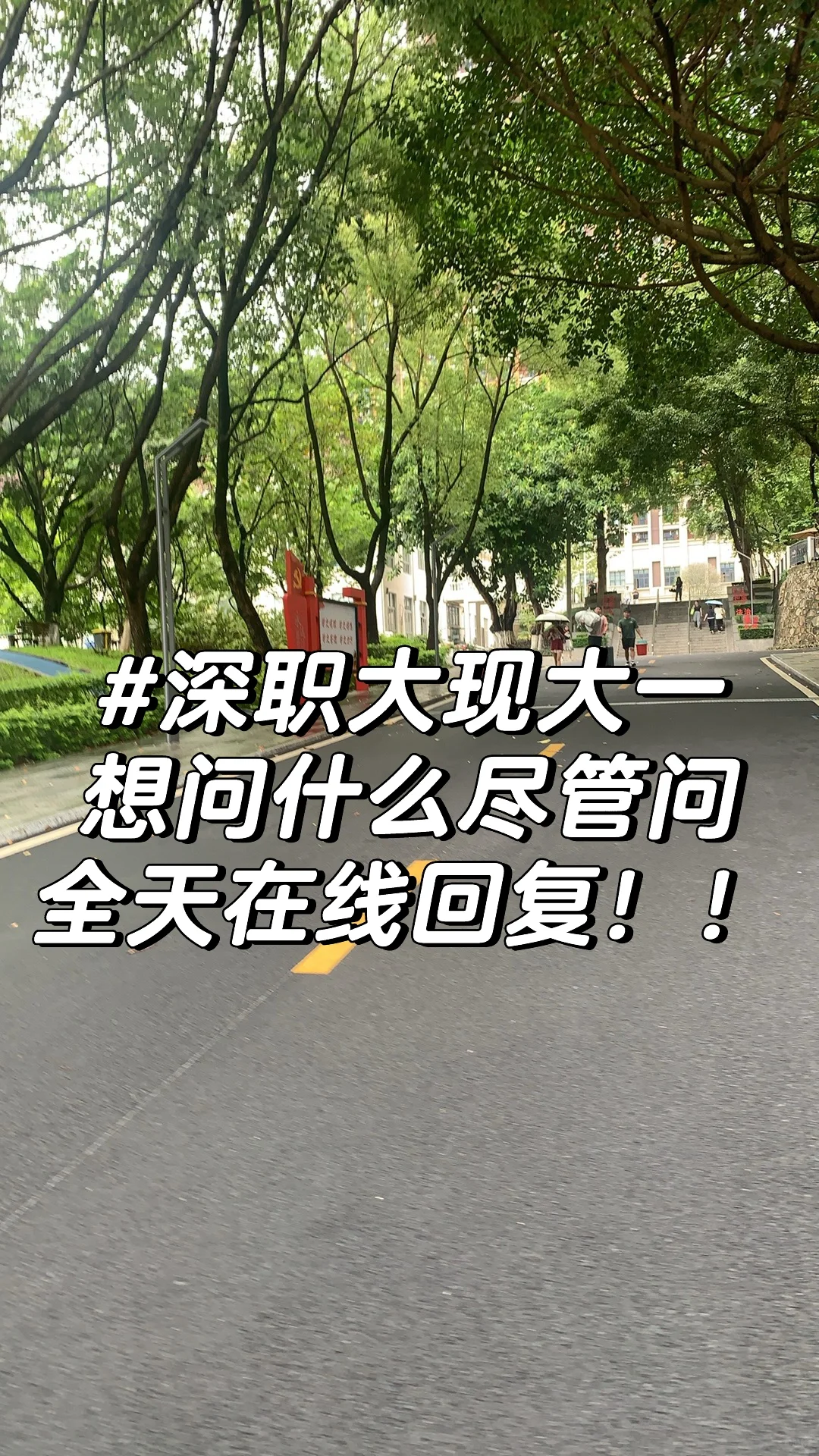 深职大24届大二预备役学姐在线解答！