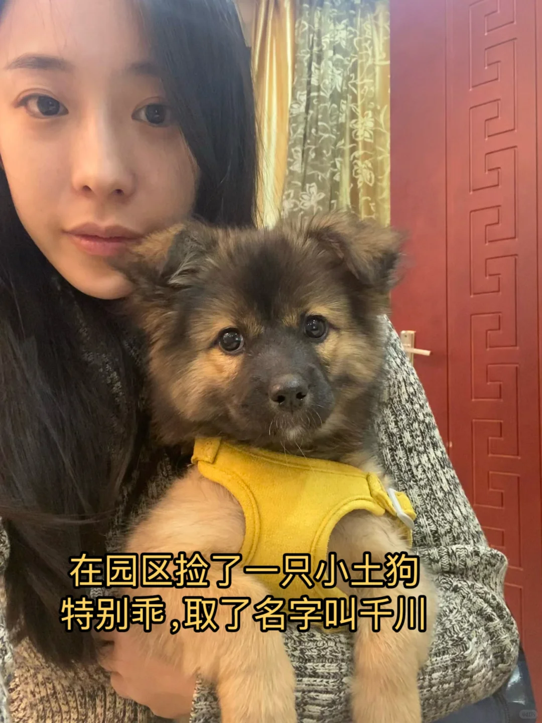 直播带货三年 能赚多少钱????