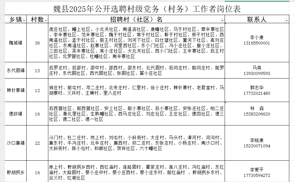 邯郸魏县公开选聘村级党务工作者