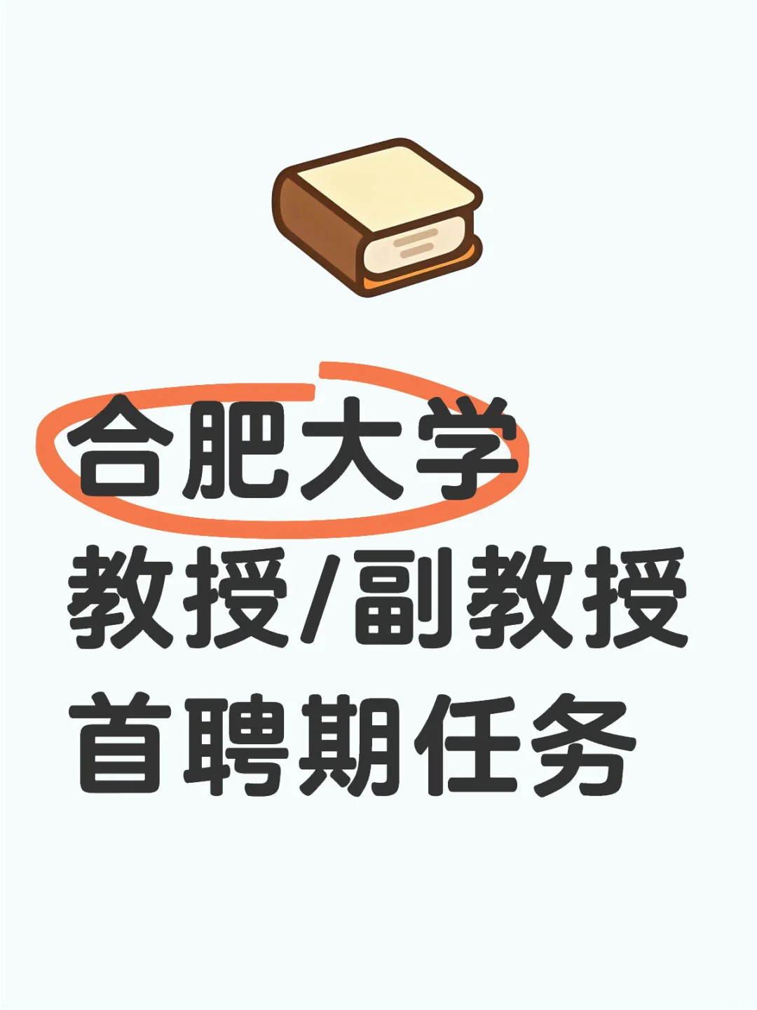 合肥大学教授/副教授首聘期任务