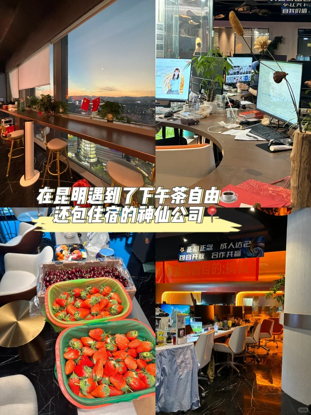 昆明头部传媒公司,扩招啦(内置