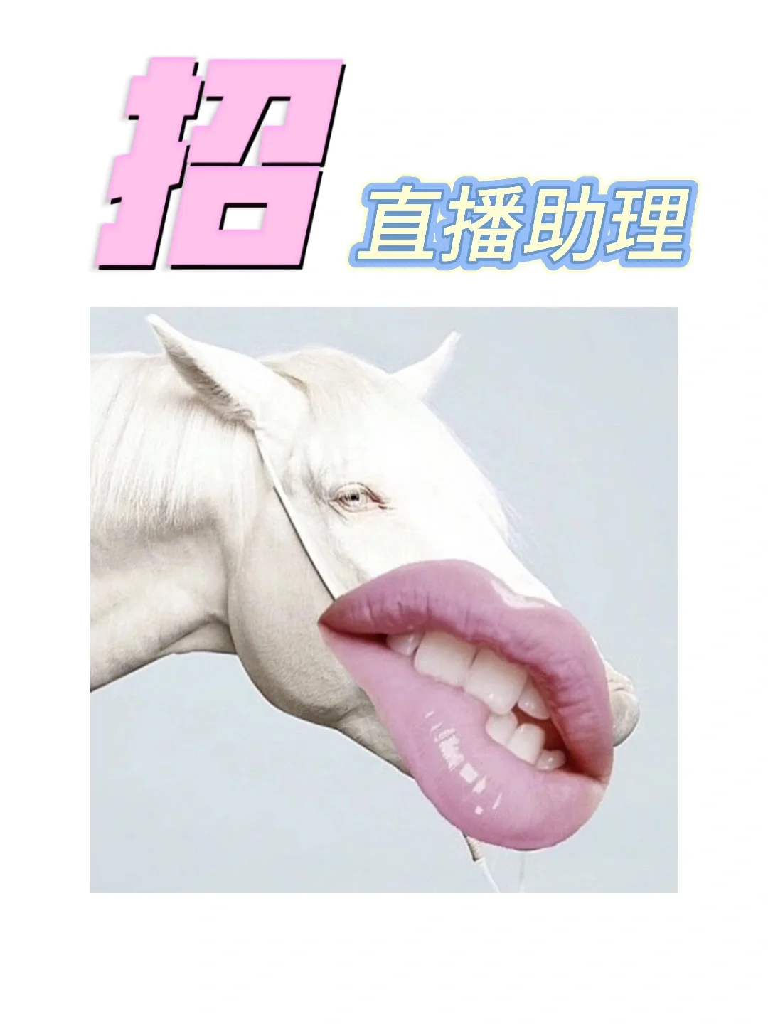 招?穿搭直播助理
