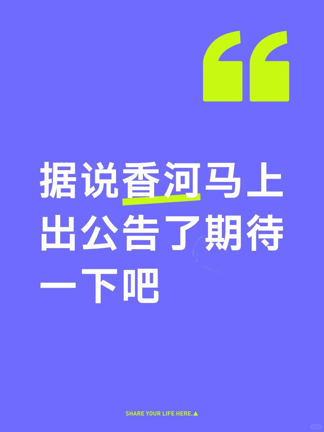 看来今年是稳了