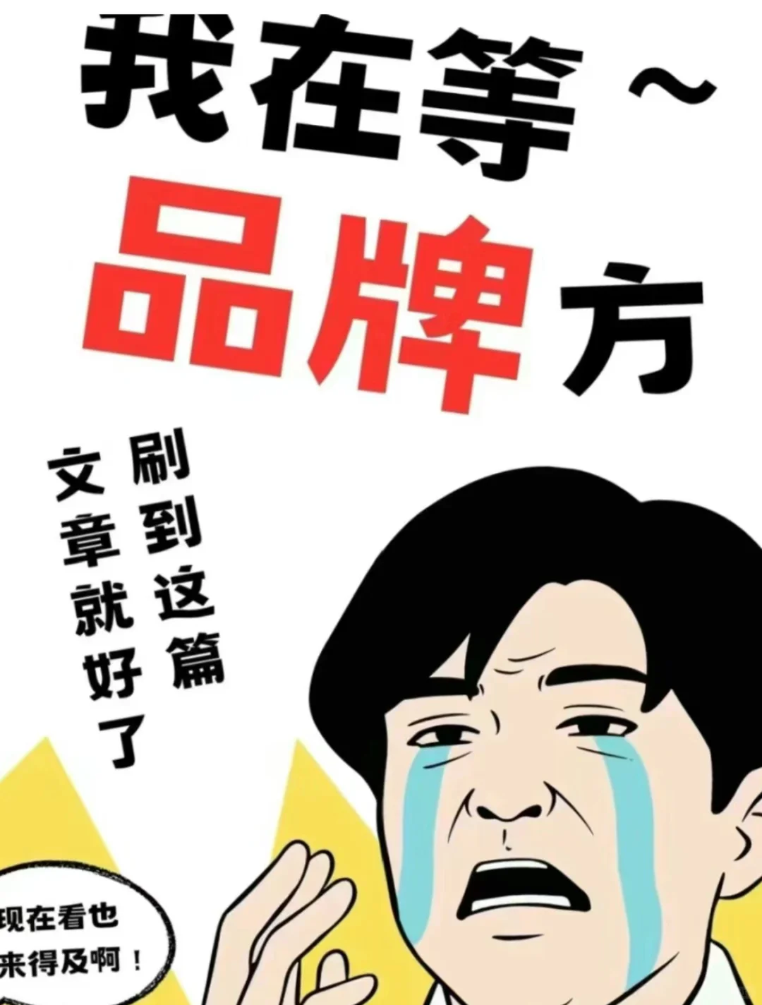 重生之我要做纯佣来品牌方