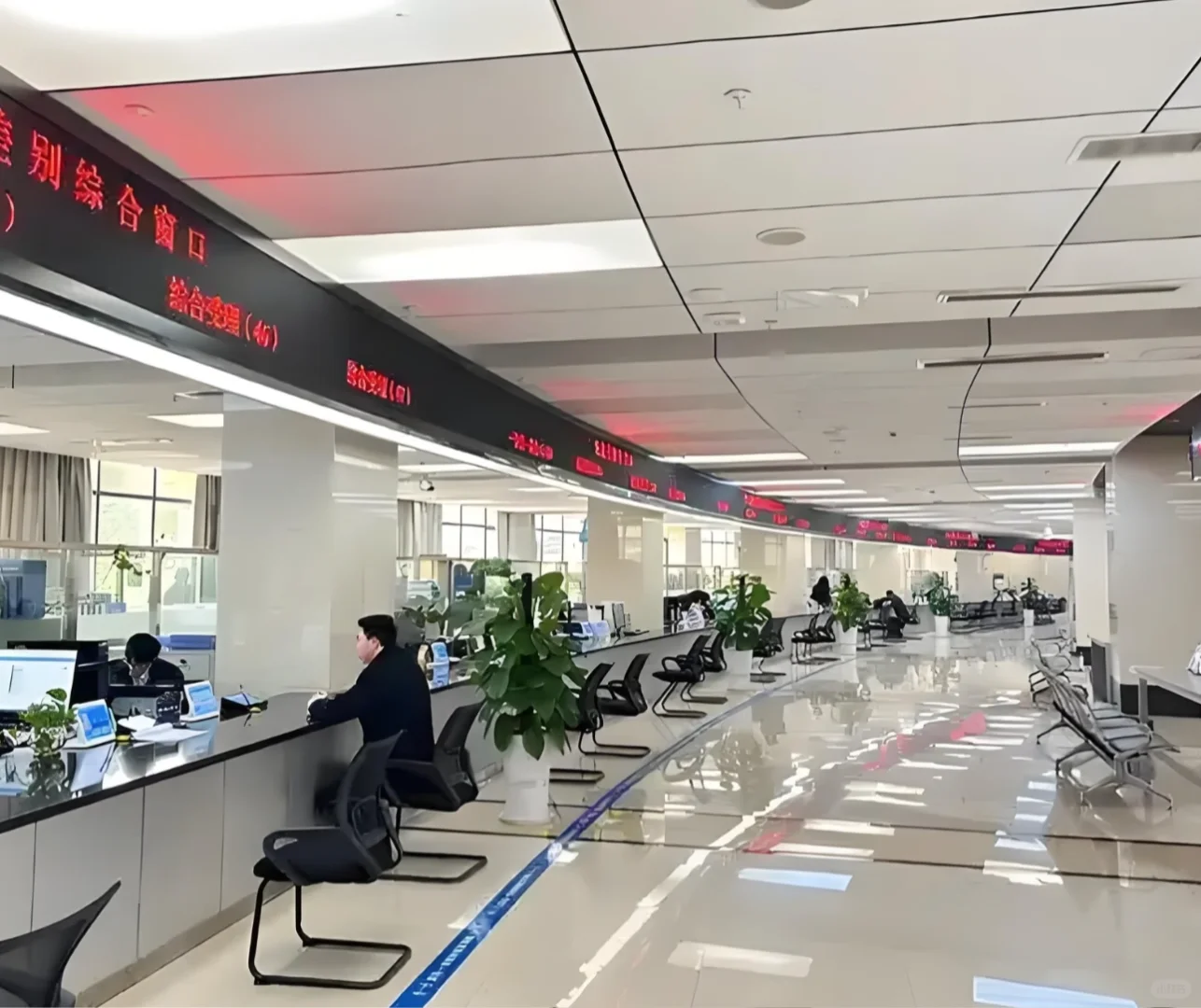 北湖政务大厅 文职!双休双休