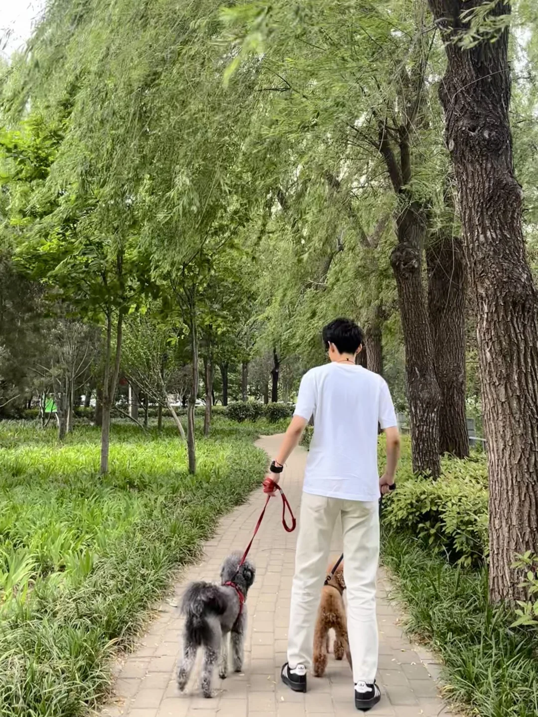 这家公司一直需要兼职、全职主播