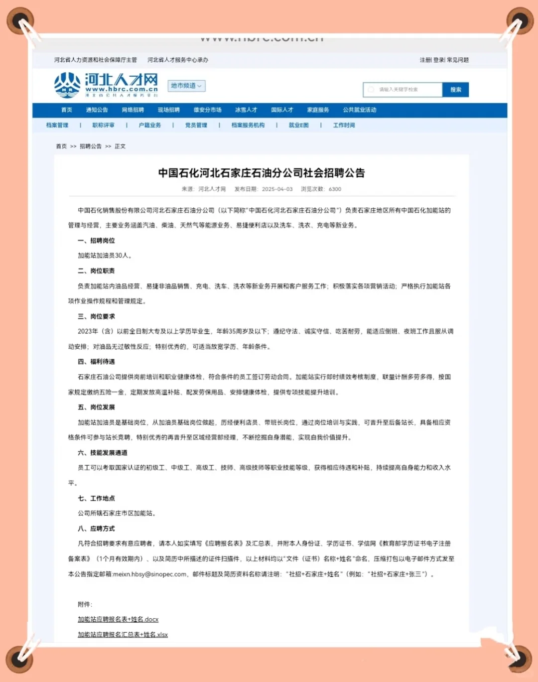 专科的宝子们有福啦!