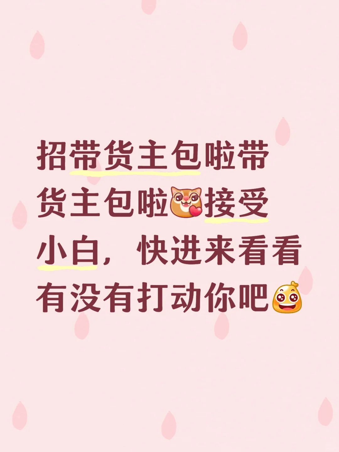 厦门‖招带货主播～六险一金+超多福利
