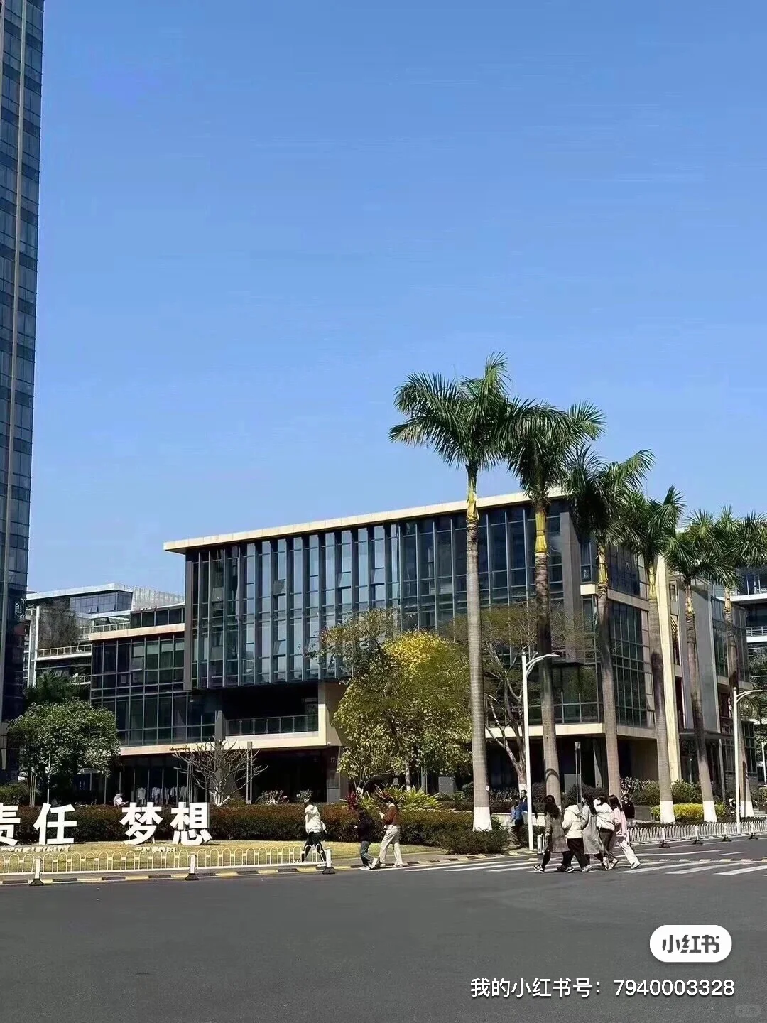 天安电商公司在线招聘啦！