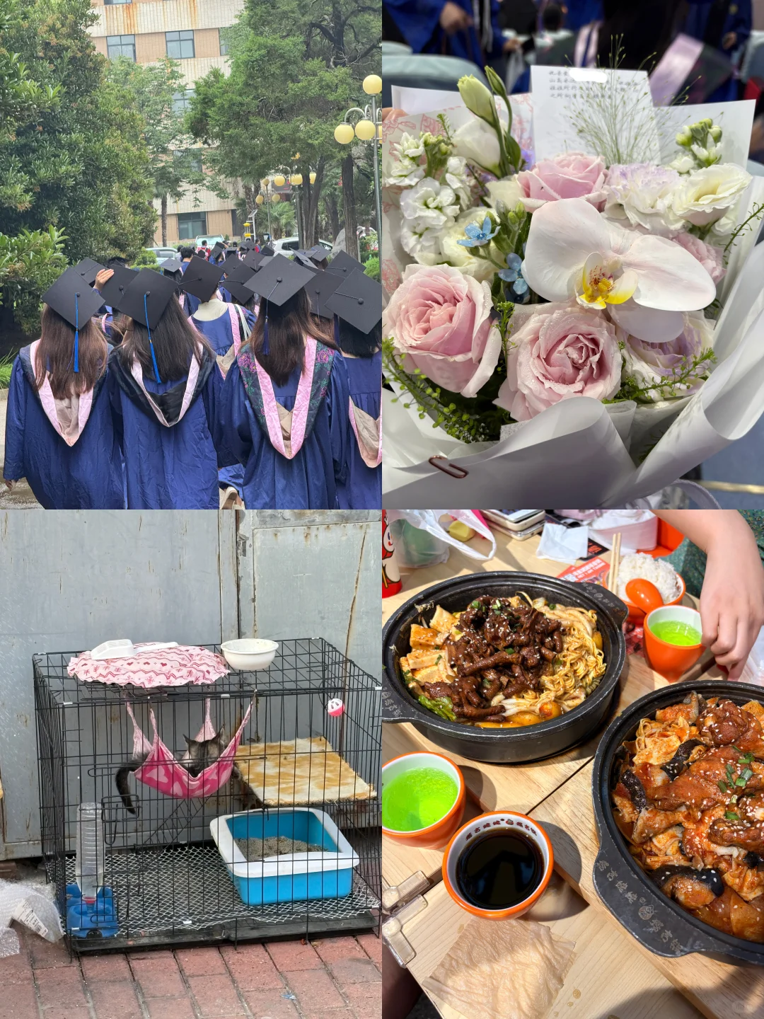 校招还可投这些!|用好AI轻松提高过面率