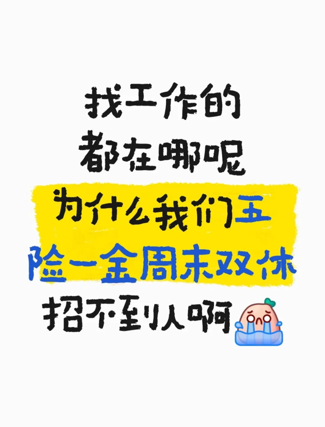 河北省内双休短视频编导,新媒体运营!!