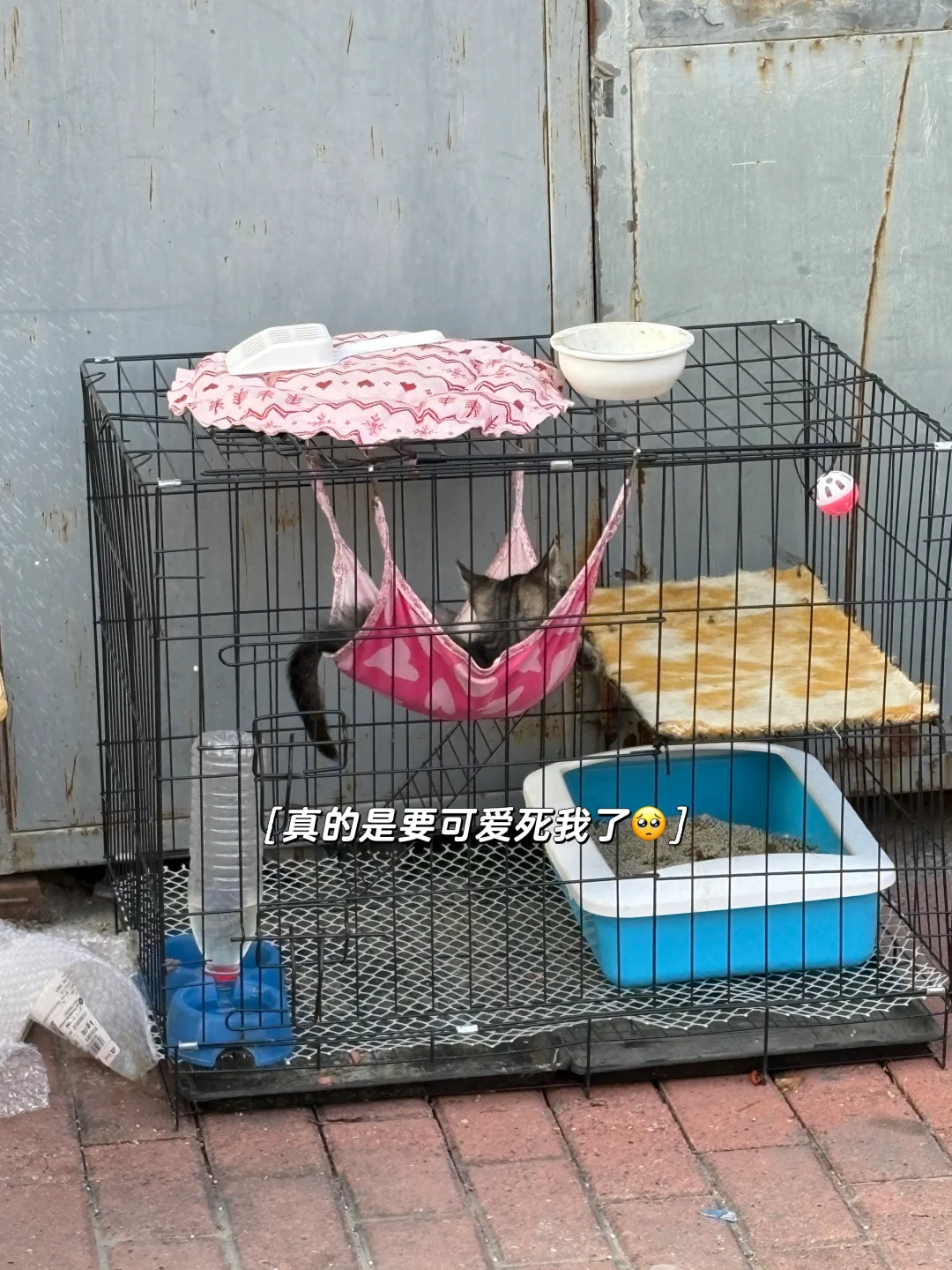 校招还可投这些!|用好AI轻松提高过面率
