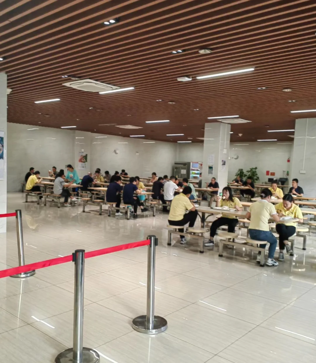 还 还 还有人相信伊利招聘吗？