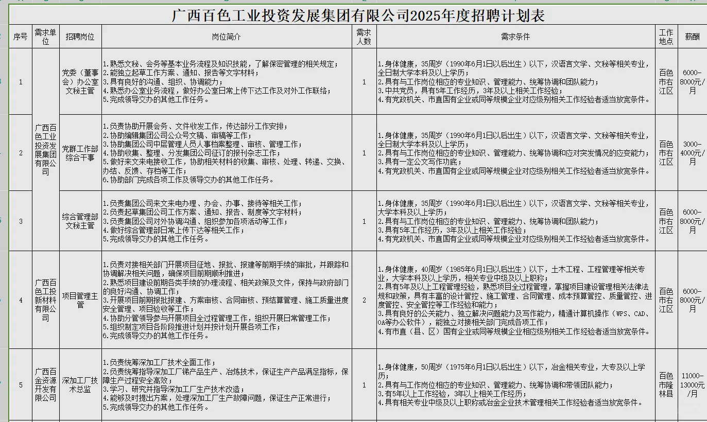 百色工投发展集团有限公司2025年度招聘计划