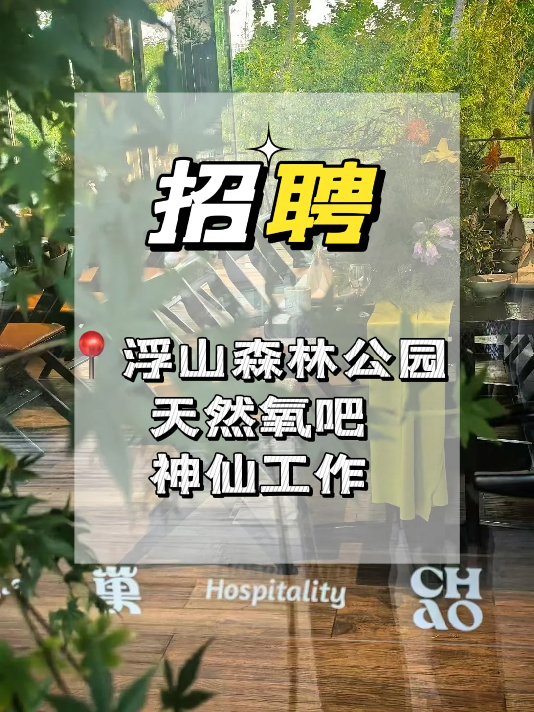 招聘｜森林上班什么体验？带薪吸氧职位开放