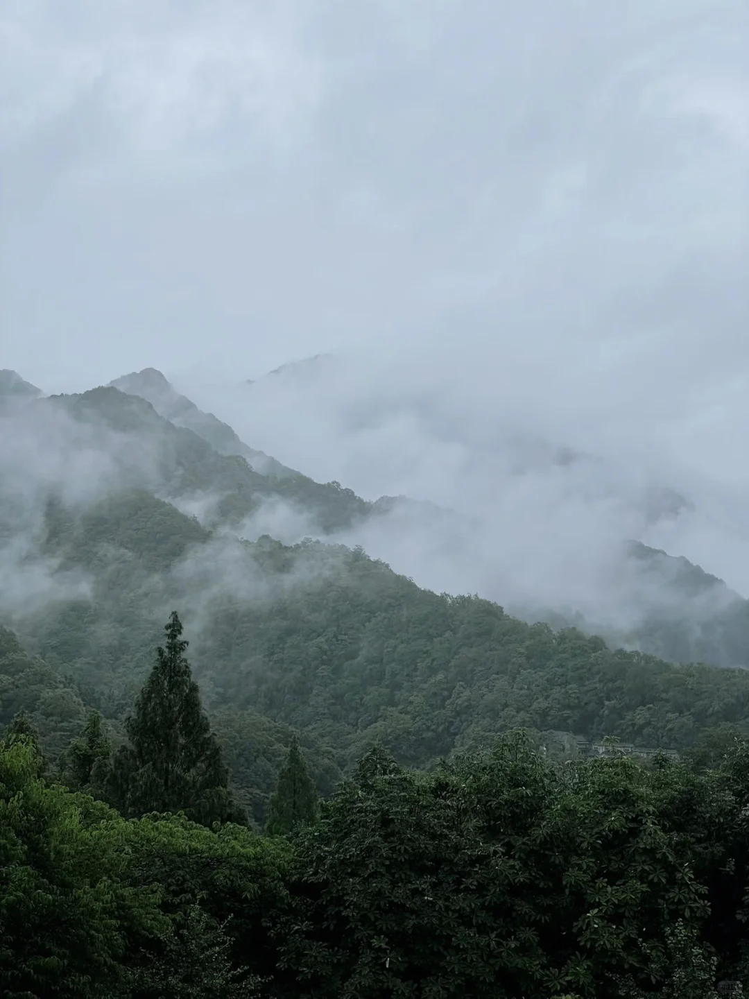 大厂第1408天✨分享找远程工作的超多渠道