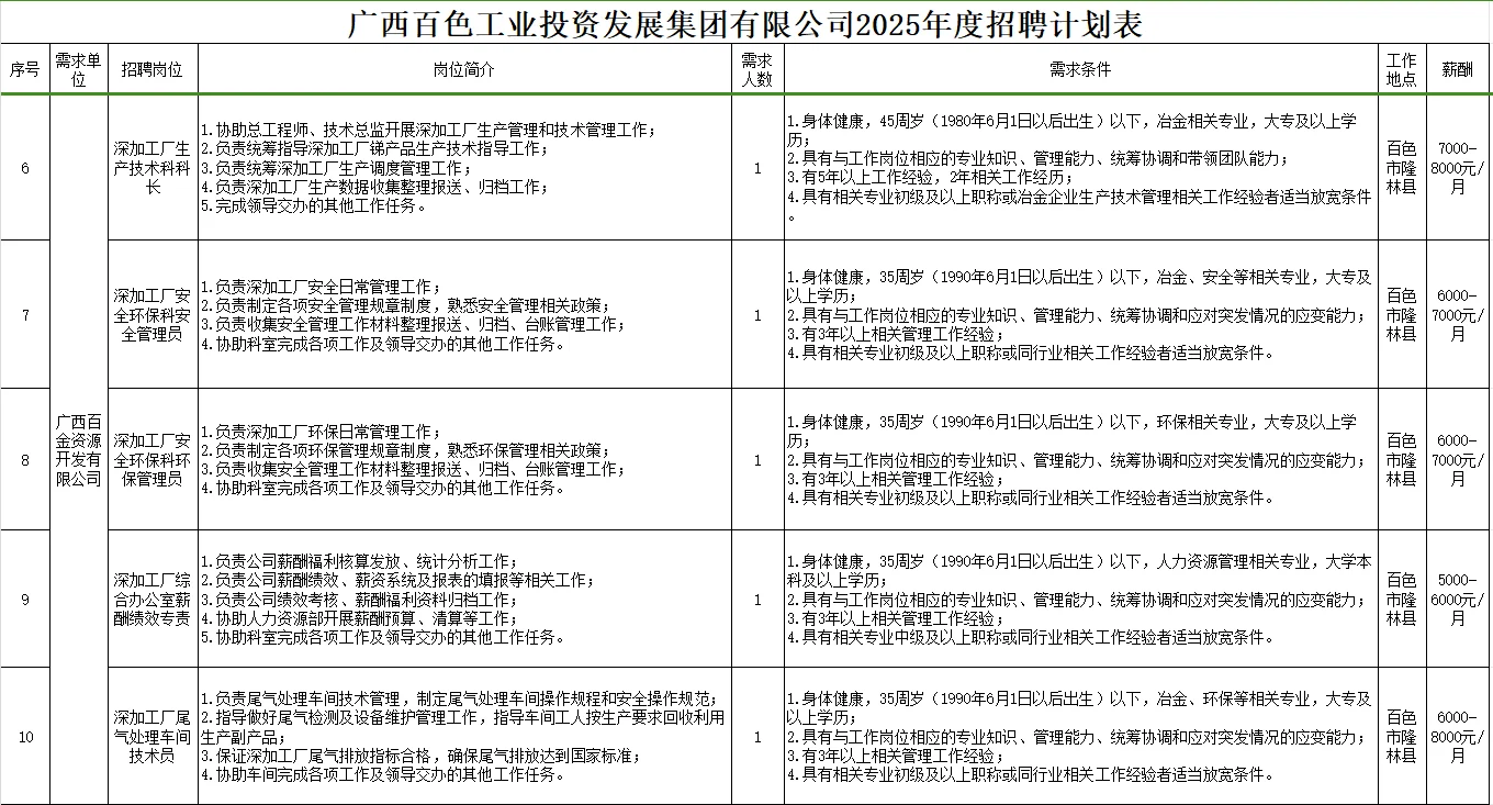百色工投发展集团有限公司2025年度招聘计划