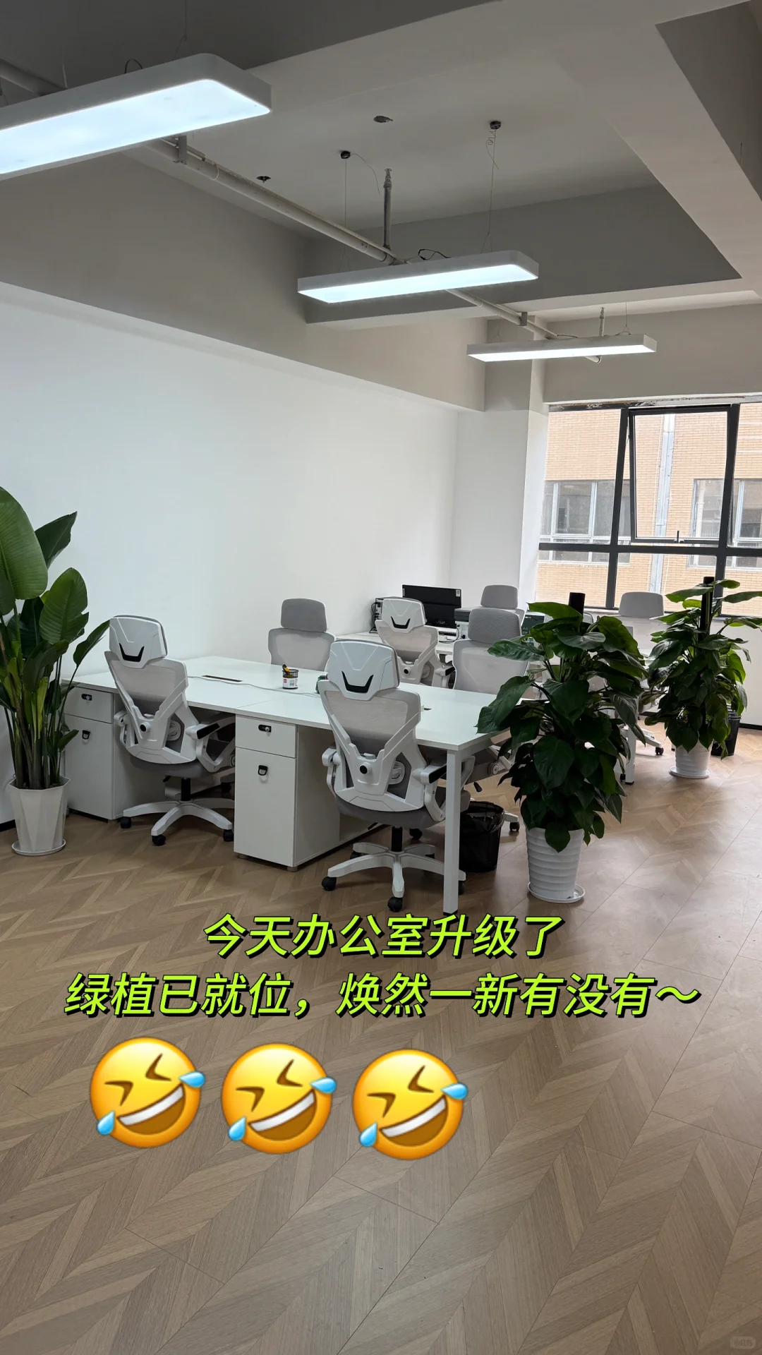 好消息，公司开了，期待伙伴入职