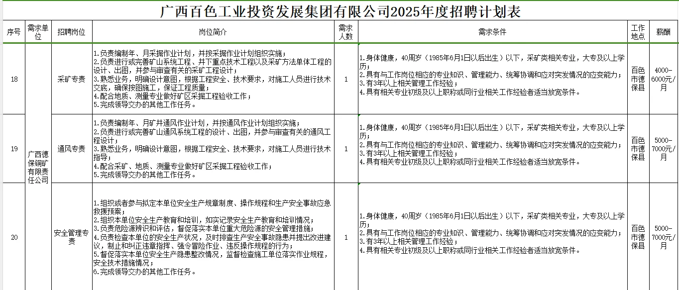百色工投发展集团有限公司2025年度招聘计划