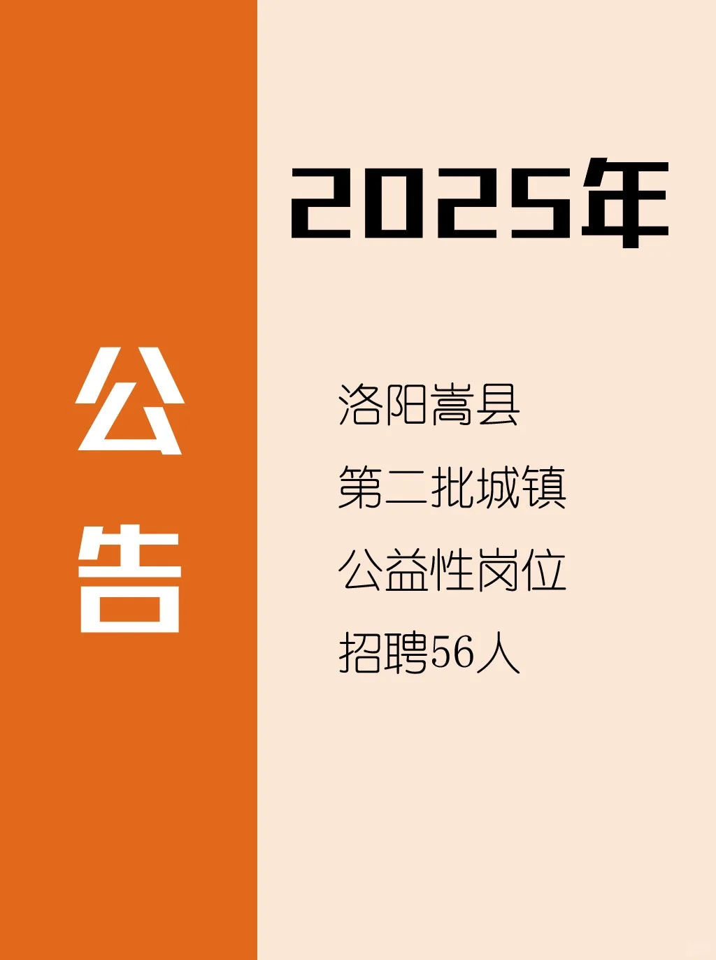 洛阳嵩县第二批城镇公益性岗位招聘56人