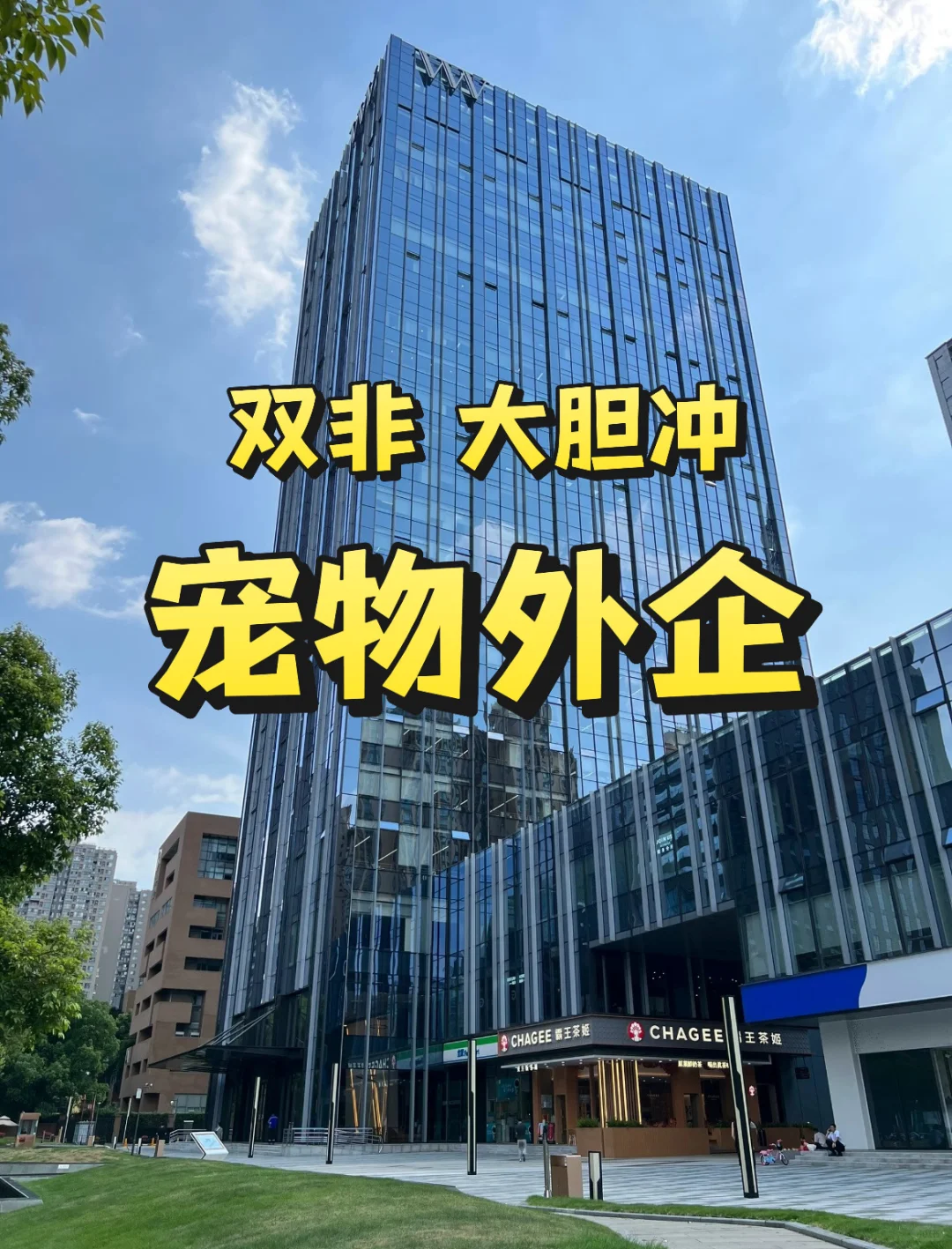 大学生可以大胆冲的宠物外企