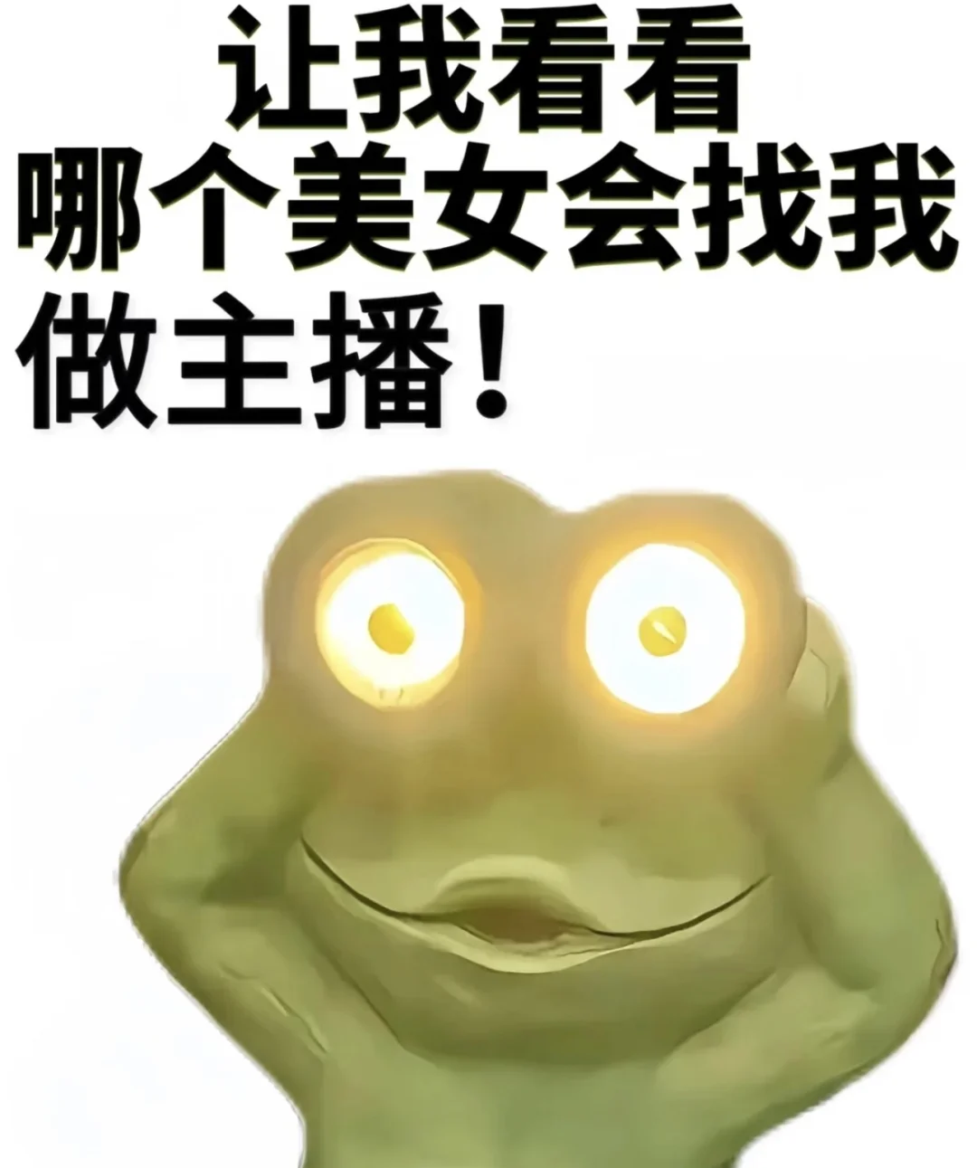 我本是家庭显赫的小姐…现在只差一名主播宝
