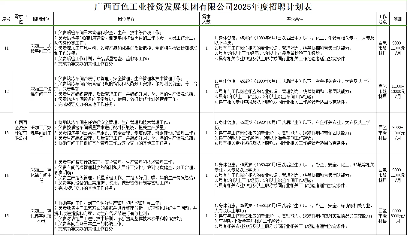 百色工投发展集团有限公司2025年度招聘计划