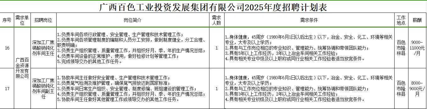 百色工投发展集团有限公司2025年度招聘计划