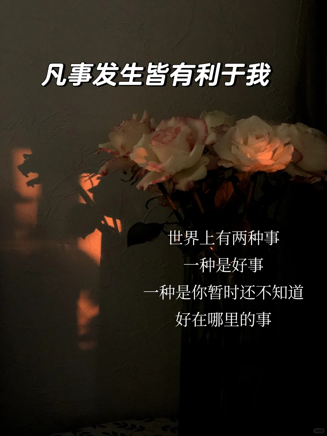 新人主播|| 熬过618，场观终于破千！
