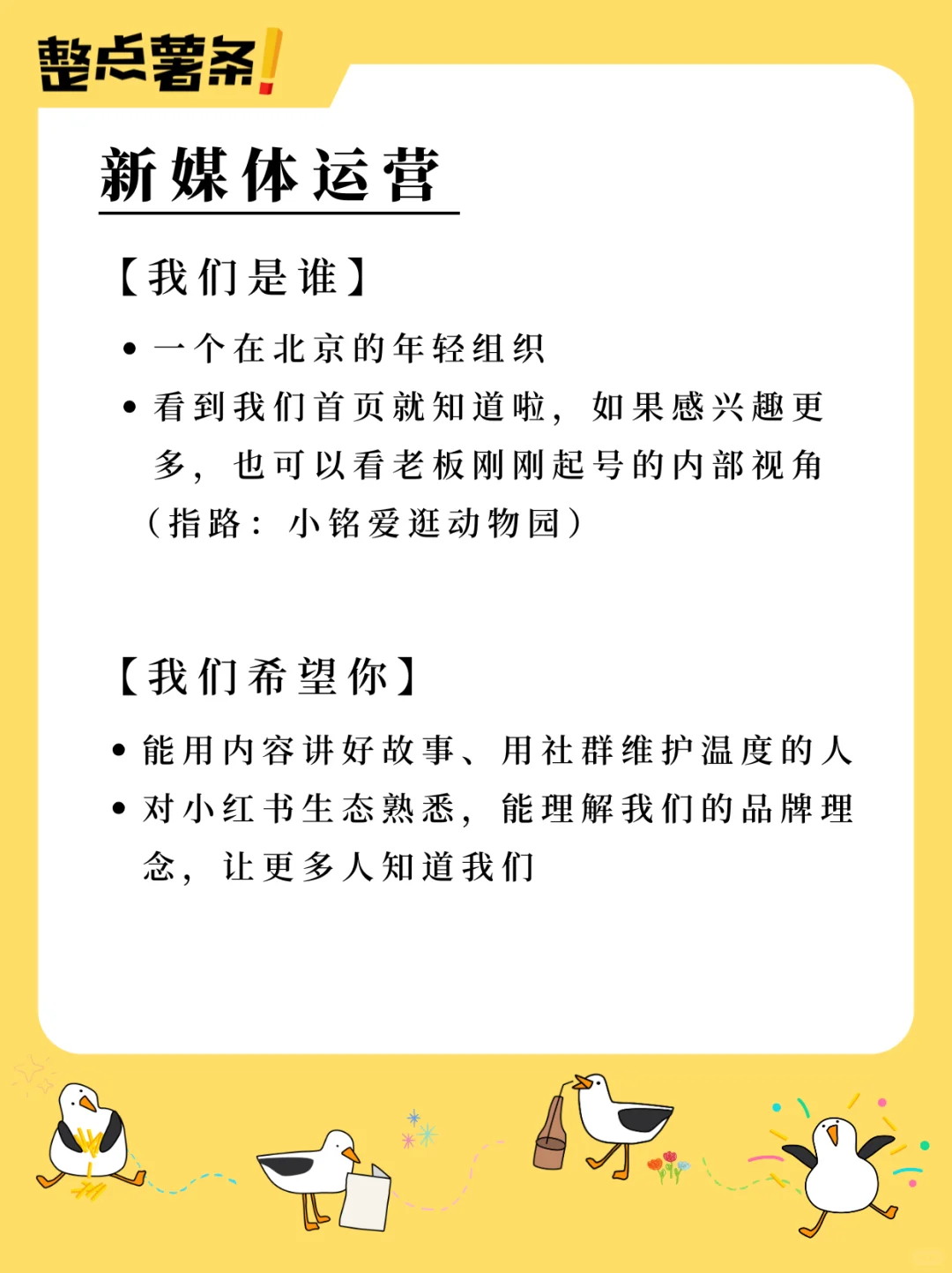 JOIN US | 鸥鸥在线等人来!!??