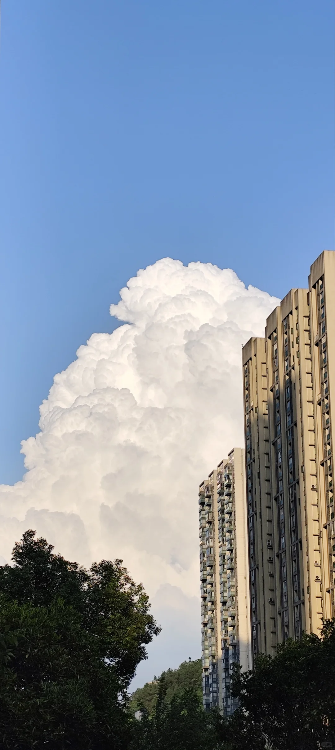 贵阳观山湖公司直招无责5000~5500?小白