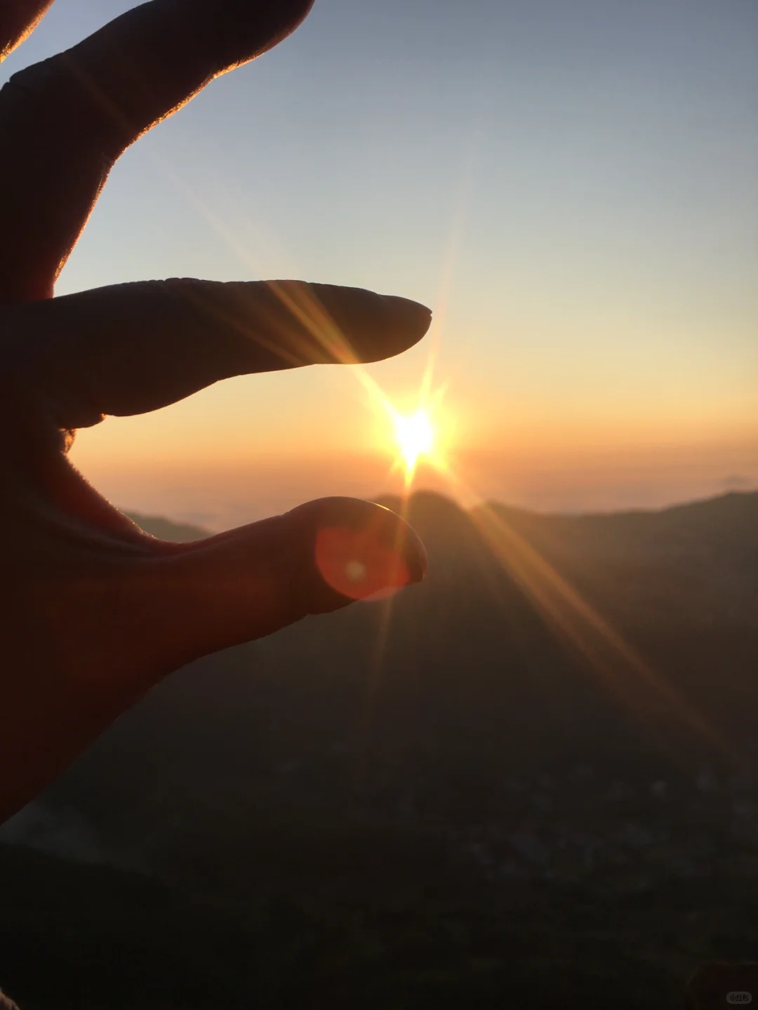 有没有在招人的公司