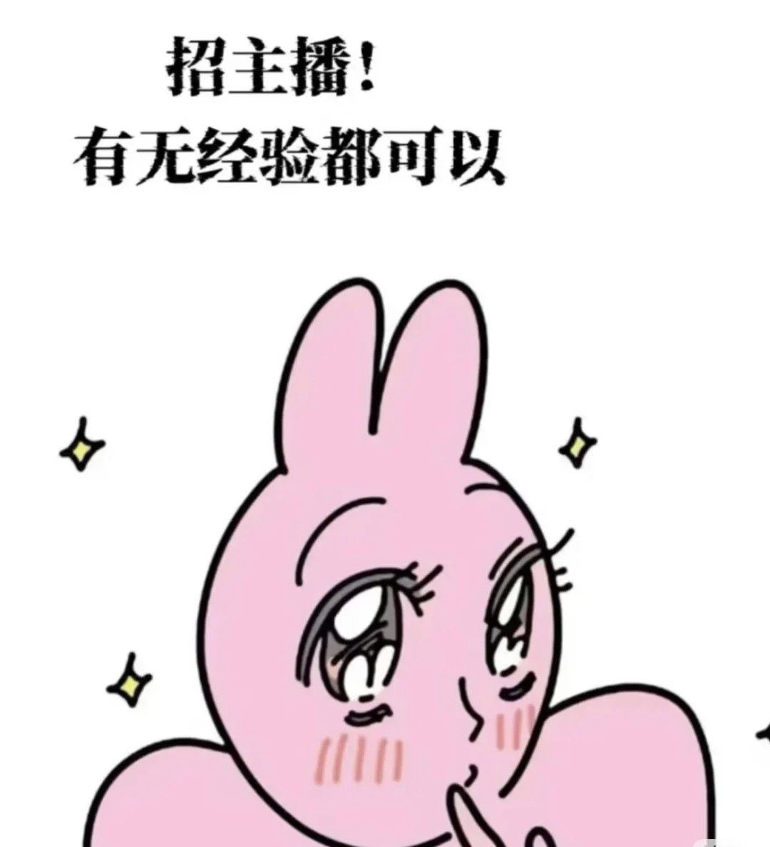 招主播 无责保底8k（接受小白）