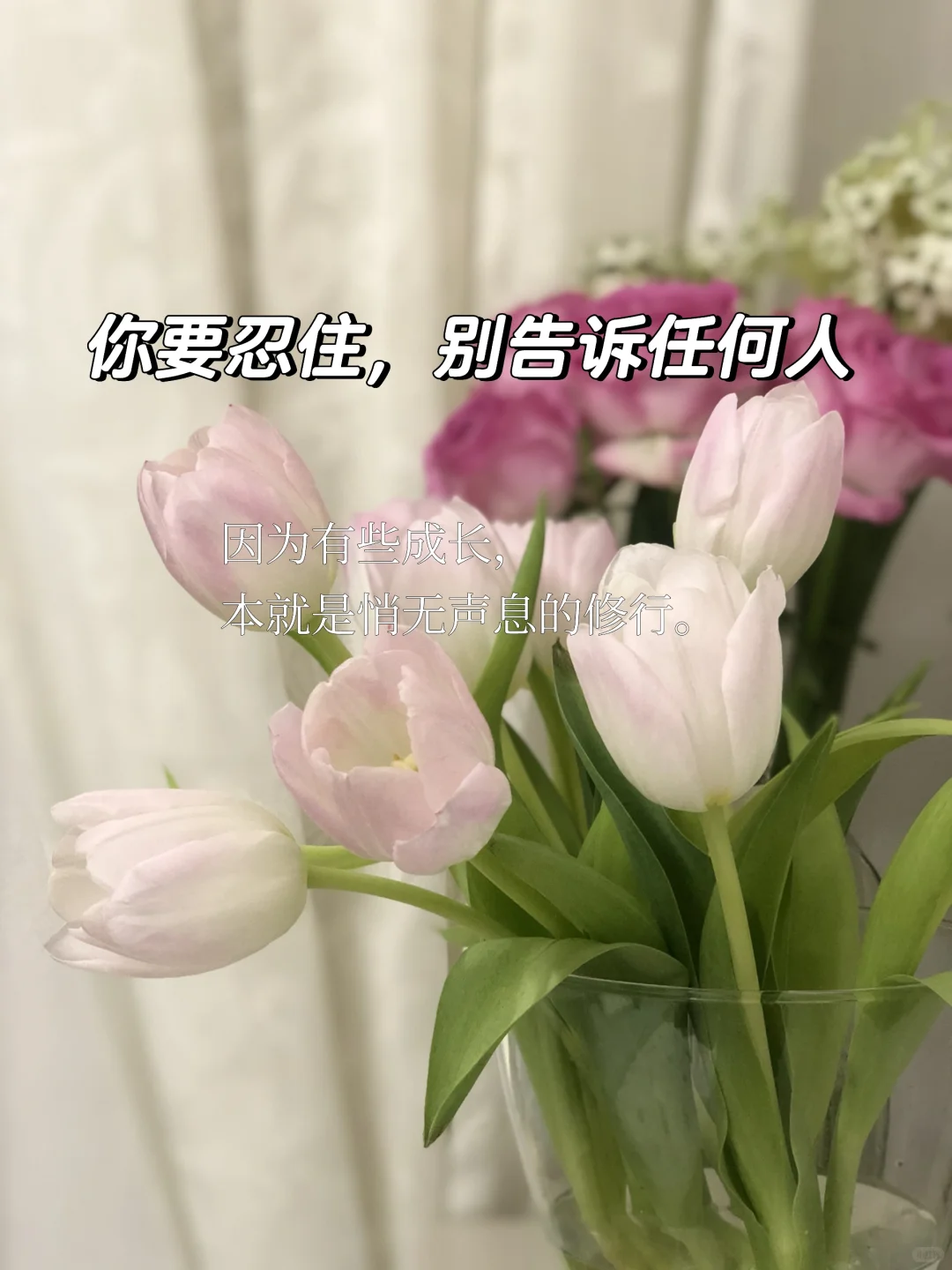 新人主播|| 熬过618，场观终于破千！