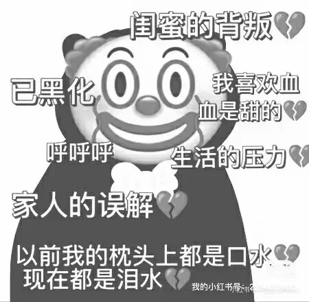 蹲蹲直播搭子
