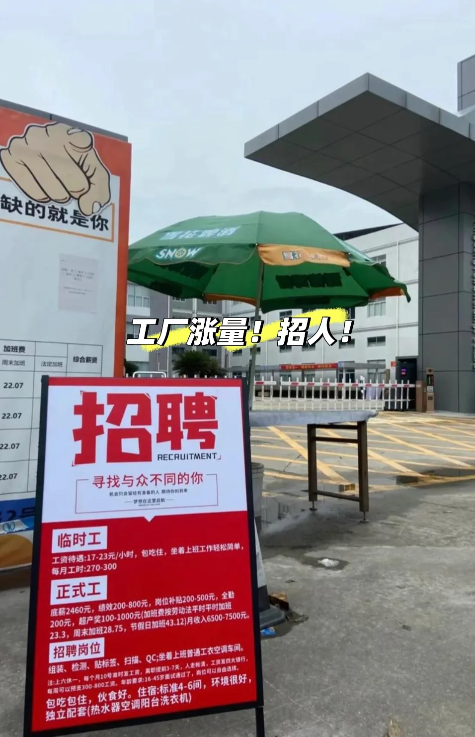 招聘啦，快来～厂区直招！