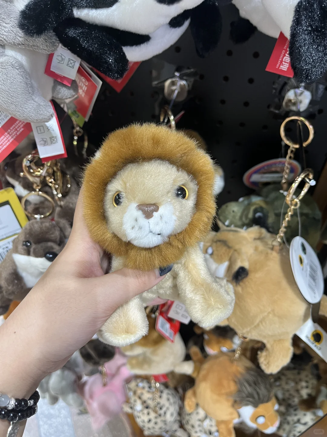 招聘！石家庄本地五险一金！