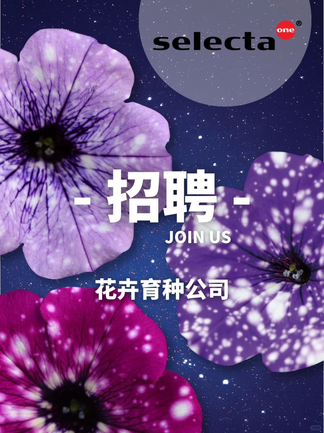 招聘丨花卉育种公司-试种与技术支持岗