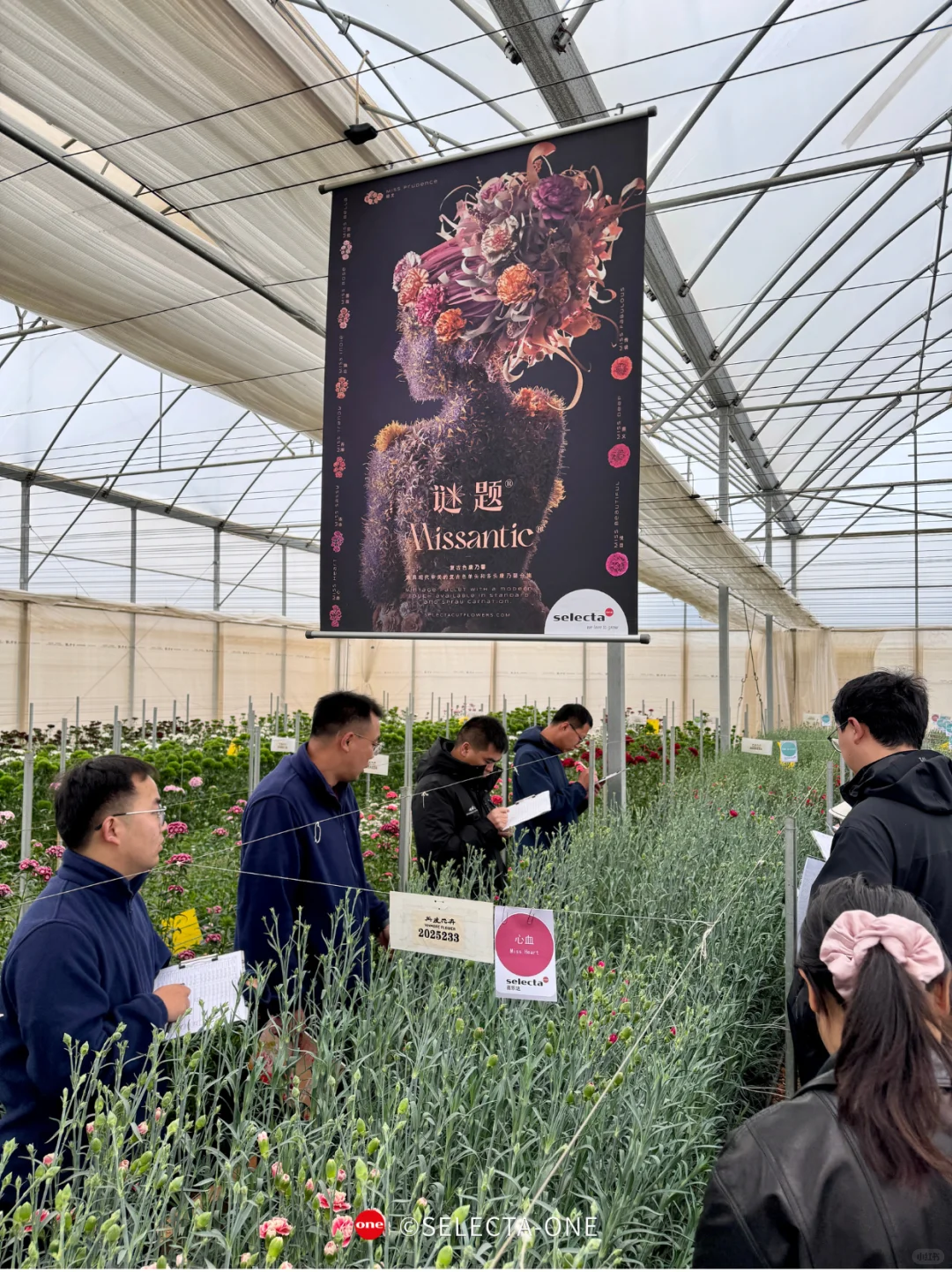 招聘丨花卉育种公司-试种与技术支持岗