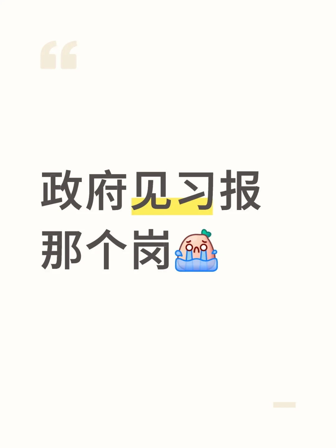 政府见习选岗