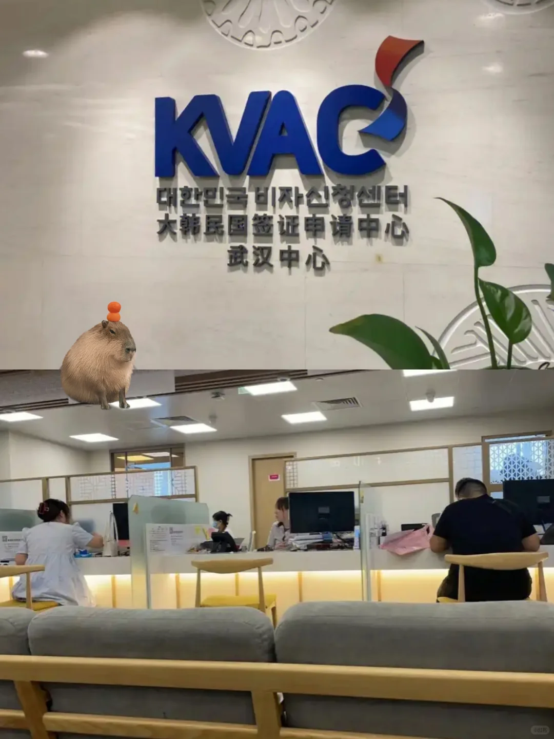 武汉签证中心招助理，大专起，早十晚四双休