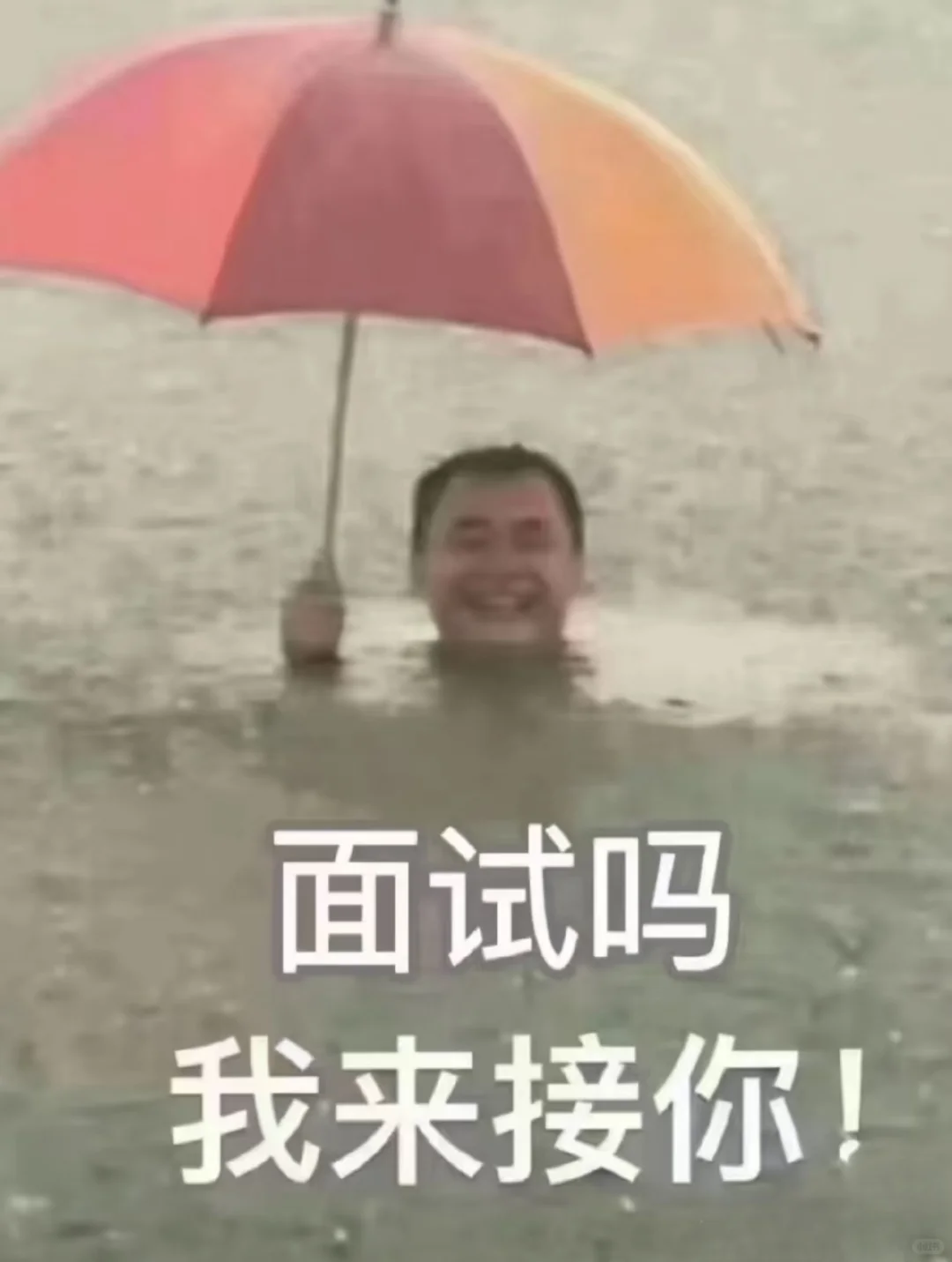 坐标衡水,双休工作❗