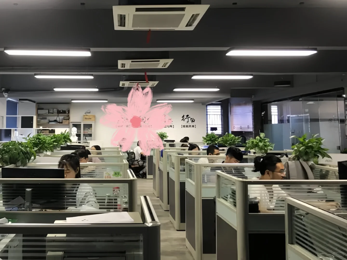 国企缺人，本科生投了就能进！