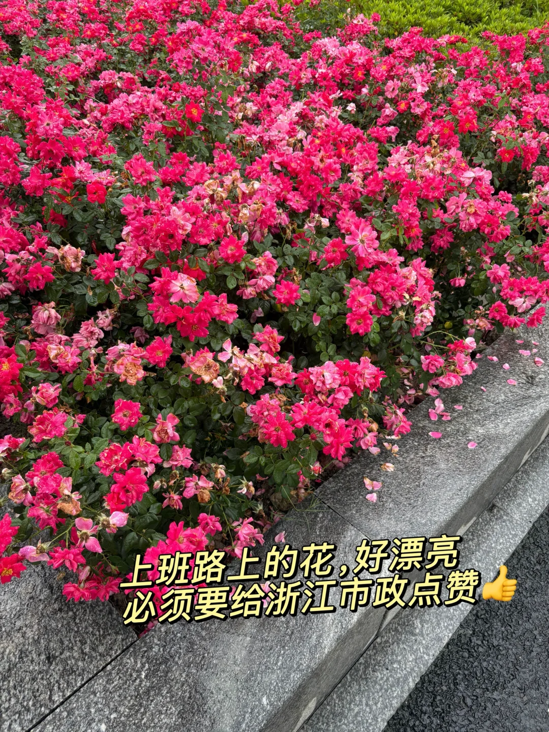 00年物流女生|月薪3w |1095打工赚钱的一天
