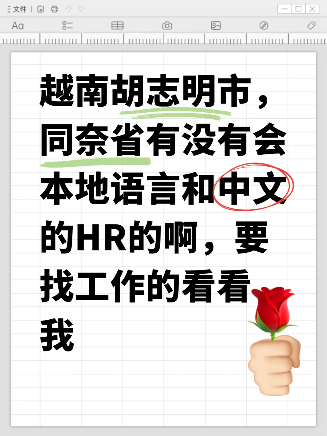 ??越南胡志明市、同奈省HR急聘!