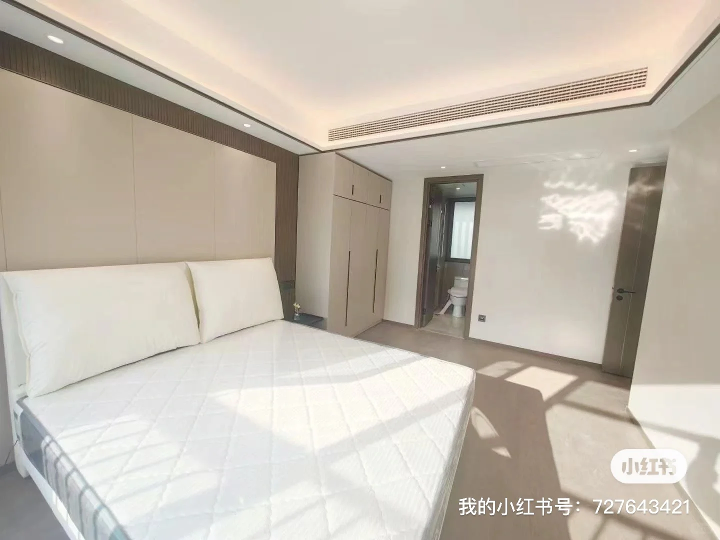 招主播 招团播 招运营