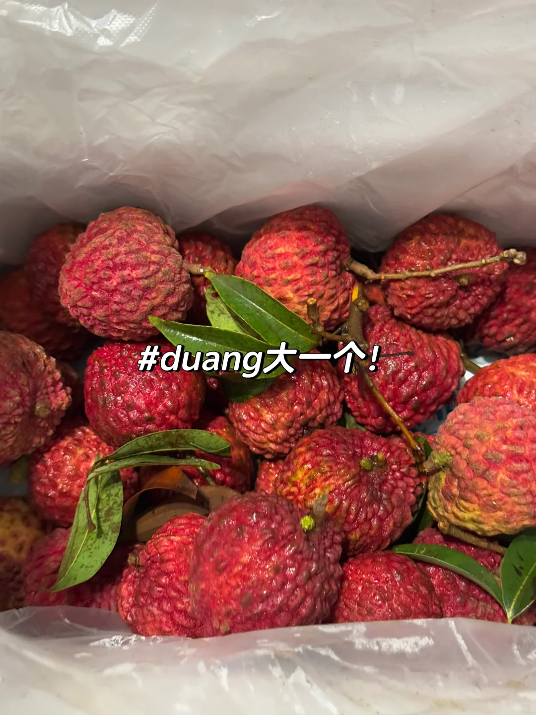 即将开启月薪三千 房租一千的苦日子